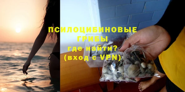 мет Елабуга
