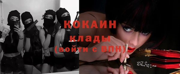 мет Елабуга
