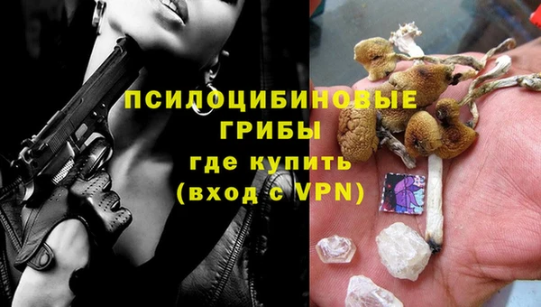 мет Елабуга