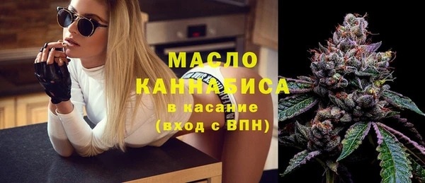 мет Елабуга