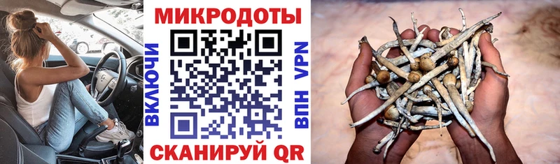 Купить Опочка Псилоцибиновые грибы ЛСД